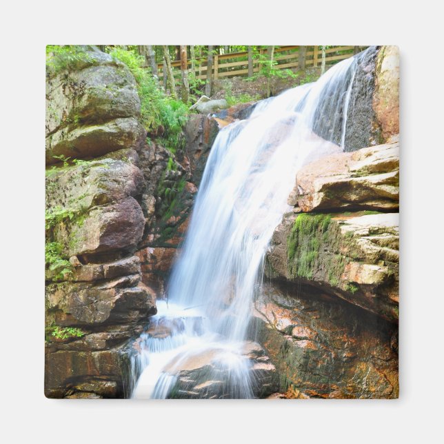 Imán Avalanche Falls Waterfall New Hampshire Magnet (Frente)