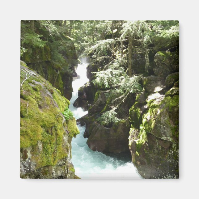 Imán Avalanche Gorge II en el Parque Nacional Glacier (Frente)