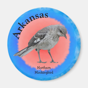 Imán Ave de Arkansas