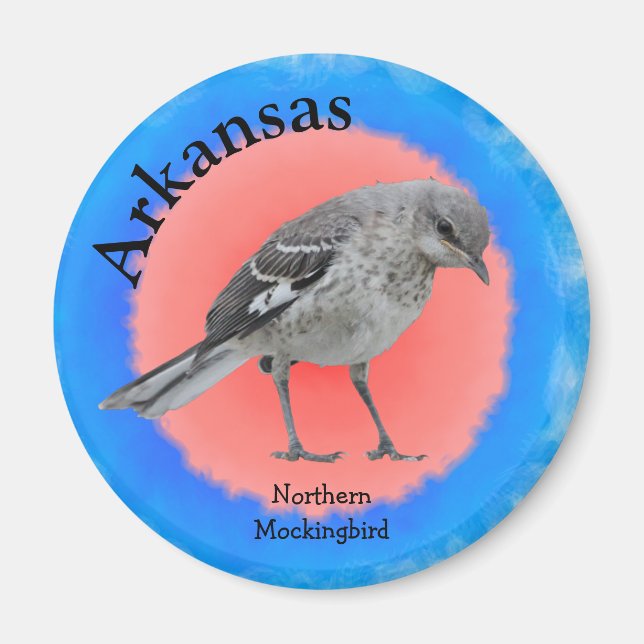 Imán Ave de Arkansas (Frente)