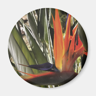 Imán Ave del Paraíso Strelitzia Reginae Acrílico Painti