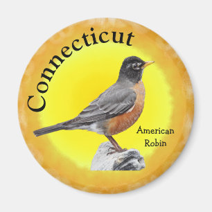 Imán Ave estatal de Connecticut