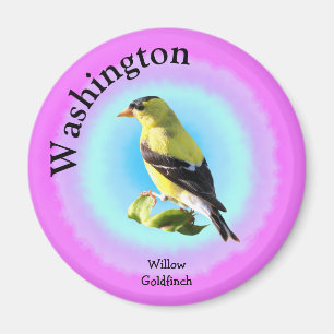 Imán Ave estatal de Washington