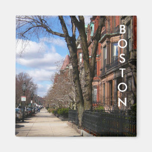 Imán Avenida del Commonwealth