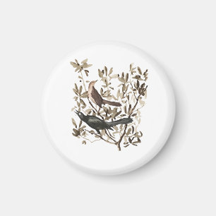 Imán Aves Acuarela Vintage en Ramas Decorativas