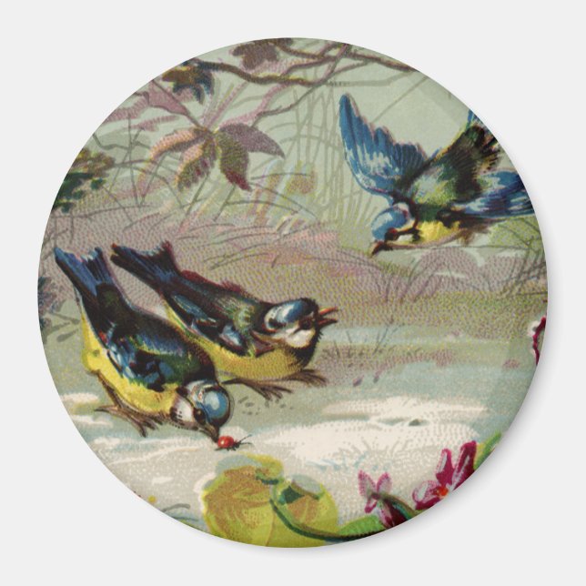 Imán Aves antiguas en la nieve (Frente)