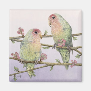 Imán Aves de amor
