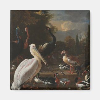 Imán Aves de arte fino