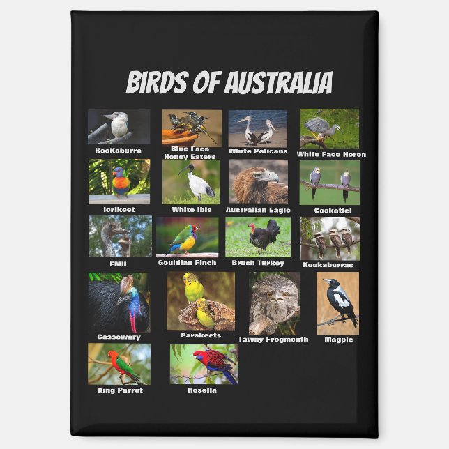 Imán Aves de Australia (Anverso)