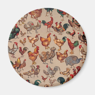 Imán Aves de corral Rooster Chicken country vintage art