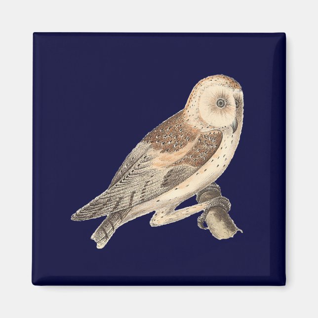 Imán Aves de Nueva York en el Barn Owl (Strix pratincol (Frente)