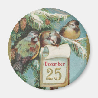 Imán Aves el 25 de diciembre