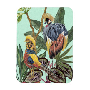 Imán Aves en el paraíso - Aves grandes