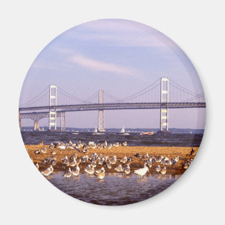 Imán Aves en la bahía de Chesapeake