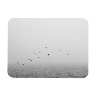 Imán Aves en la niebla