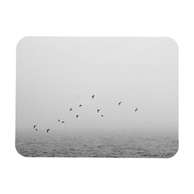 Imán Aves en la niebla (Horizontal)
