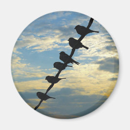 Imán Aves en un cable