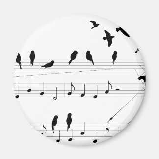 Imán Aves en una puntuación