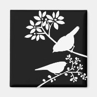 Aves negras y blancas