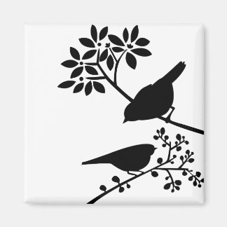 Imán Aves negras y blancas