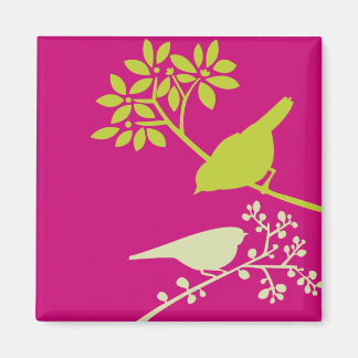 Imán Aves rosas y verdes