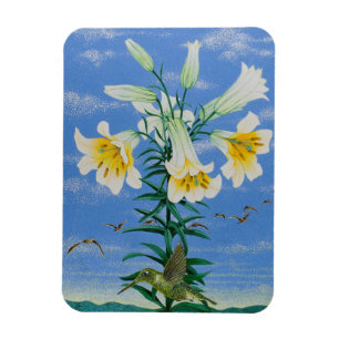 Imán Aves tempranas 2011