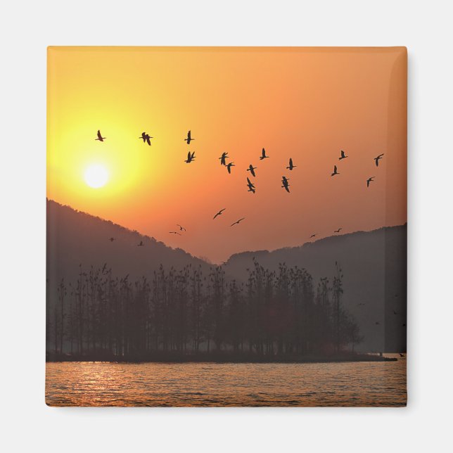 Imán Aves volando en Sunset Sky sobre East Lake Photo (Frente)
