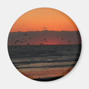 Imán Aves volando sobre la puesta de sol del océano