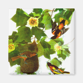 Imán Aves y flores de primavera vintage