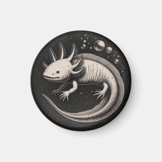 Imán Axolotl Ilustracion Vintage (Frente)