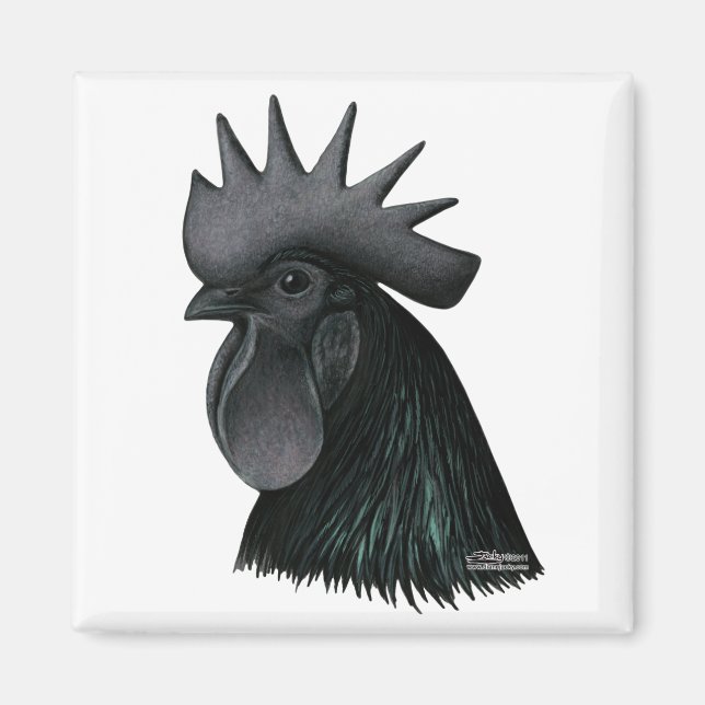 Imán Ayam Cemani Rooster Head (Frente)