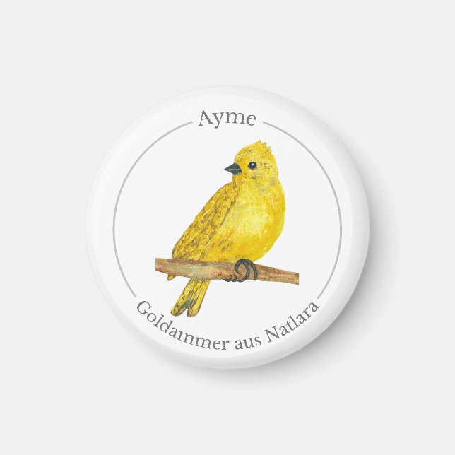 Imán Ayme -  Goldammer aus Natlara (Frente)