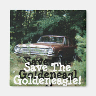 Imán Ayudé a salvar el goldeneagle de la playa de Old O