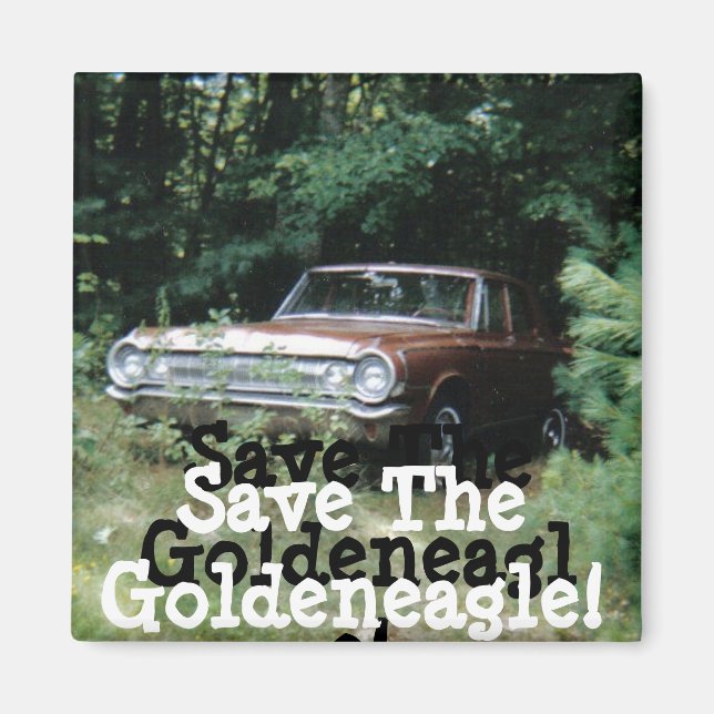 Imán Ayudé a salvar el goldeneagle de la playa de Old O (Frente)