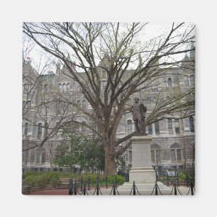 Imán Ayuntamiento viejo, Richmond, VA en primavera