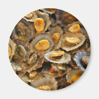 Imán Azores limpets "lapas"