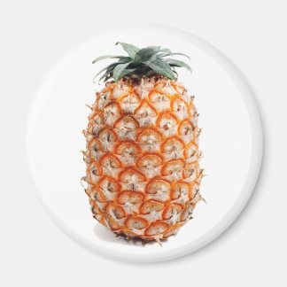 Imán Azores Pineapple Magnet