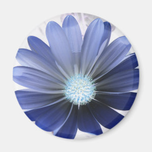 Imán azul brillante de flores de margarita