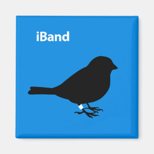 Imán Azul de banda