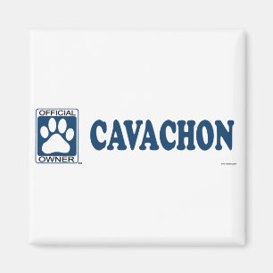 Imán Azul de Cavachon