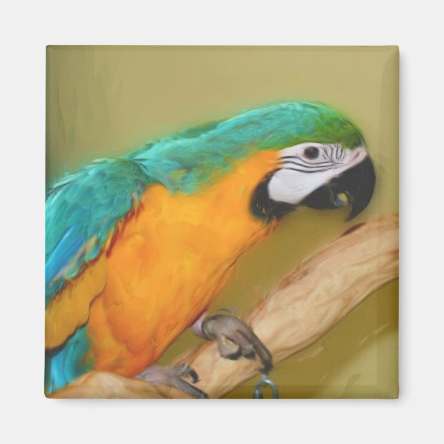 Imán azul de la pintura del loro del Macaw del oro (Frente)