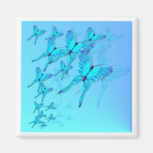 Imán azul de las mariposas