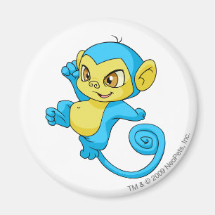 Imán Azul de Mynci