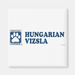 Imán Azul de Vizsla del húngaro