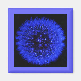 Imán azul del diseño del soplo del diente de le