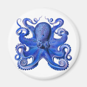 Imán Azul octopo Haeckel