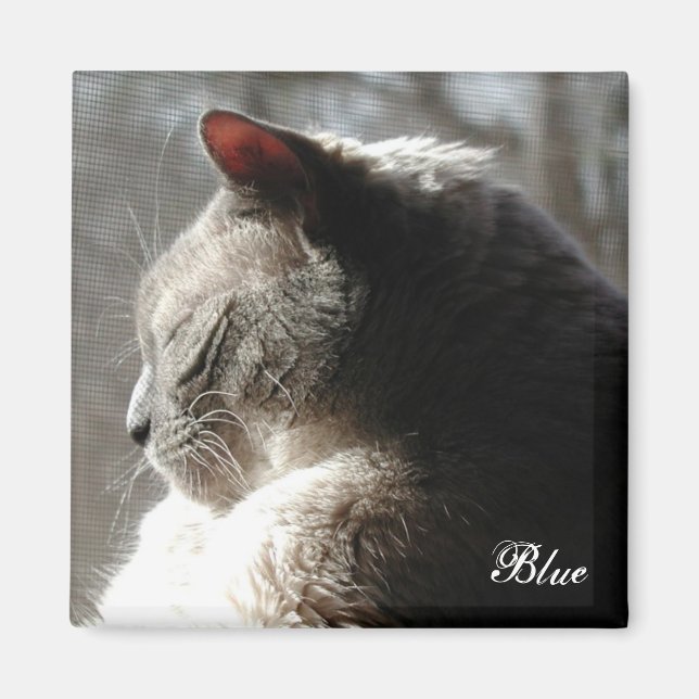 Imán Azul solar (Frente)