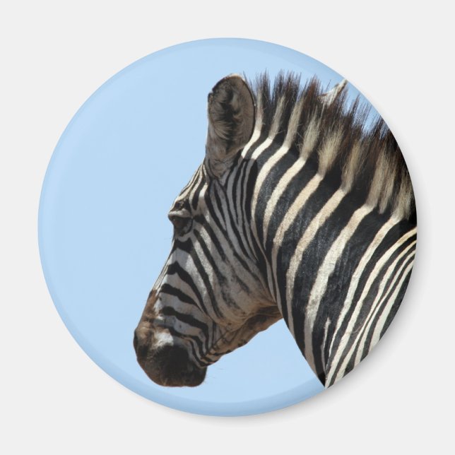 Imán azul zebra (Frente)