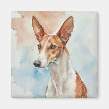 Azulejo de foto de acrílico de Podenco Ibicenco