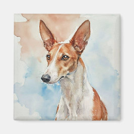 Imán Azulejo de foto de acrílico de Podenco Ibicenco